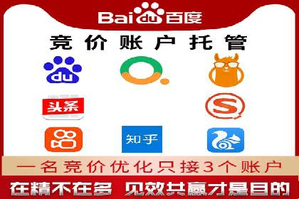 SEM推广公司成功案例：助力企业实现品牌多元化发展